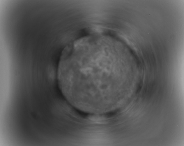 X0000092090331200709262127