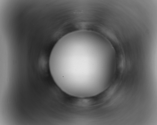 X0000092090332200709262127