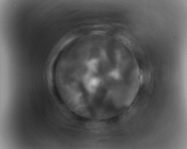 X0000092090339200709262127