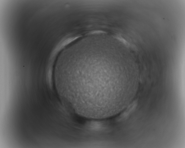 X0000092090341200709262127
