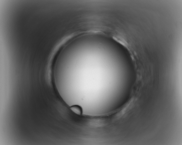 X0000092090342200709262127