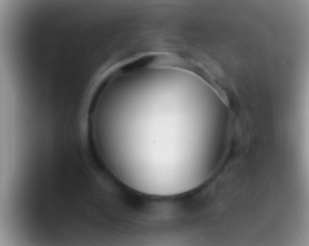 X0000092090344200709262127