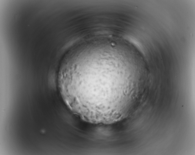X0000092090345200709262127
