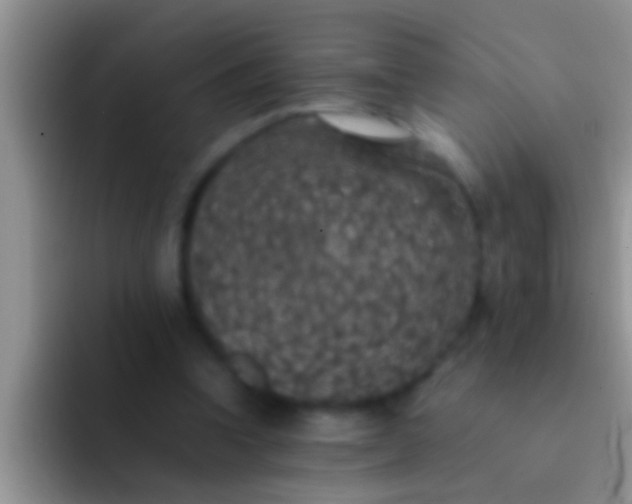 X0000092090346200709262127