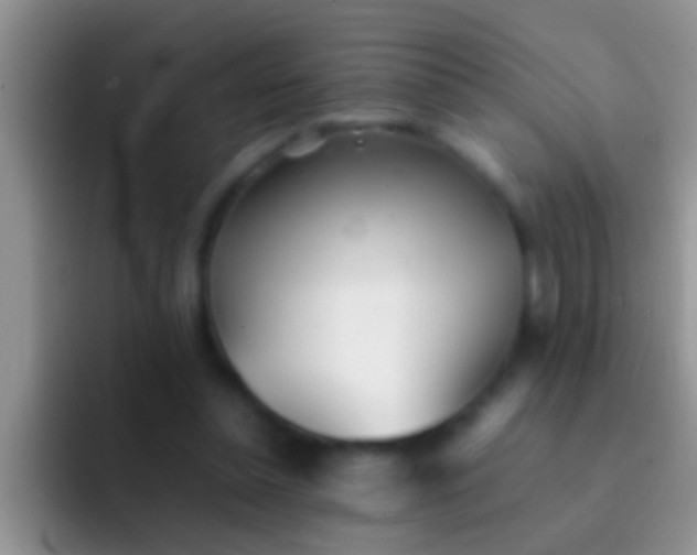 X0000092090348200709262127