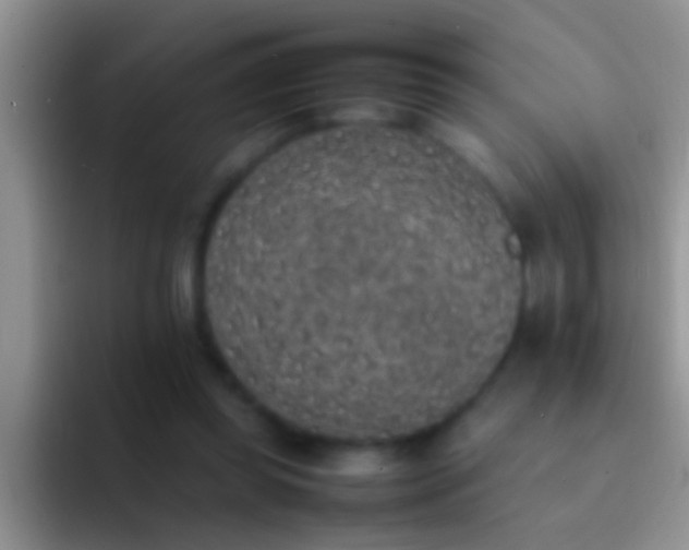 X0000092090349200709262127