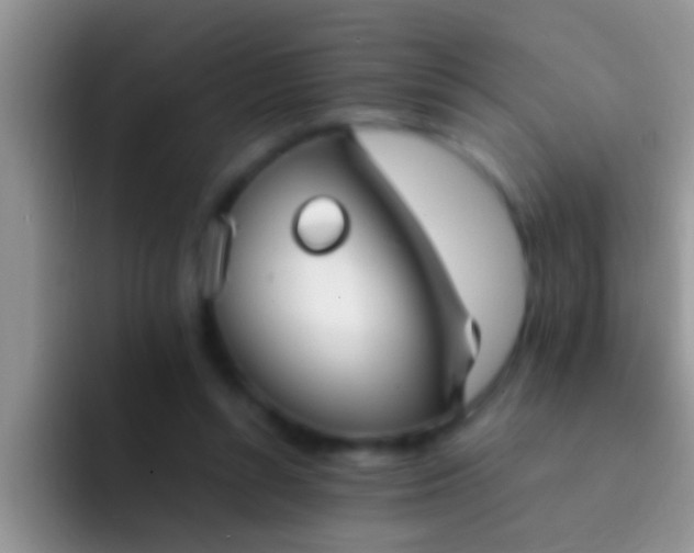 X0000092090352200709262127