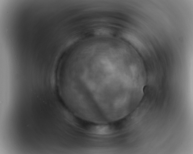 X0000092090353200709262127