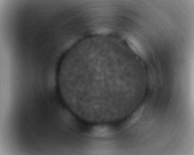 X0000092090354200709262127