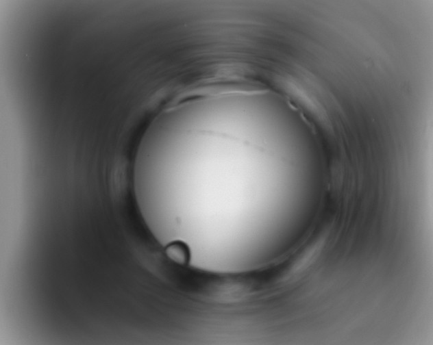 X0000092090356200709262127