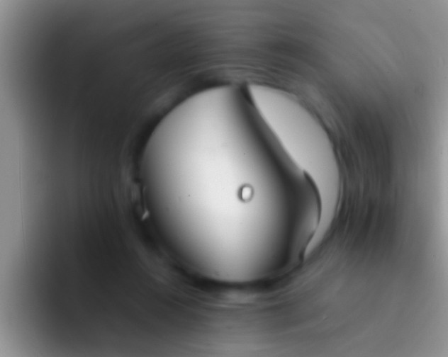 X0000092090360200709262127