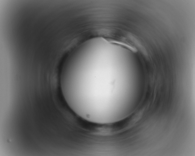 X0000092090362200709262127