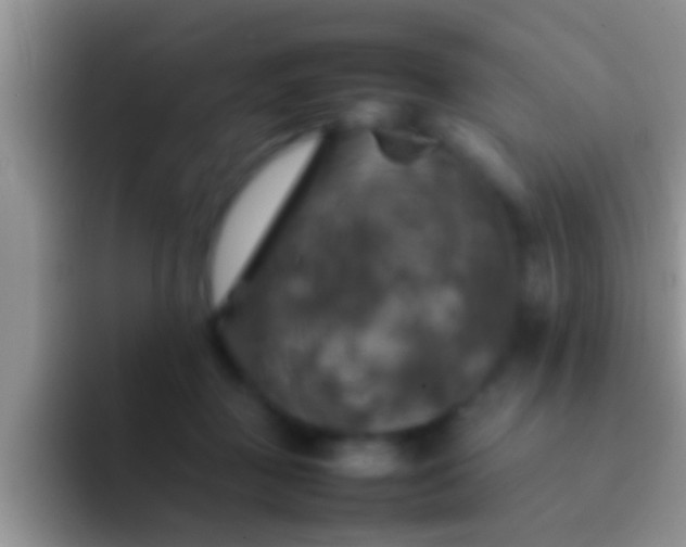 X0000092090363200709262127