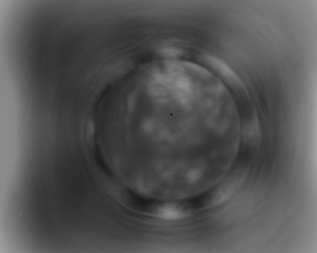 X0000092090365200709262127