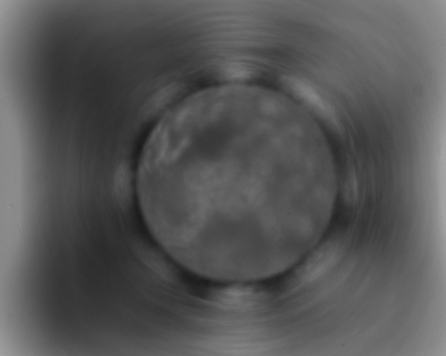 X0000092090366200709262127