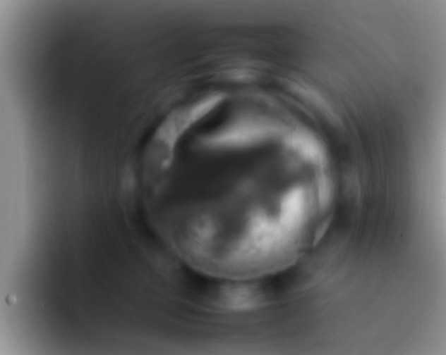 X0000092090373200709262127