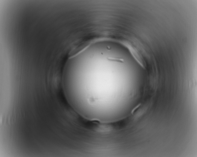 X0000092090376200709262127