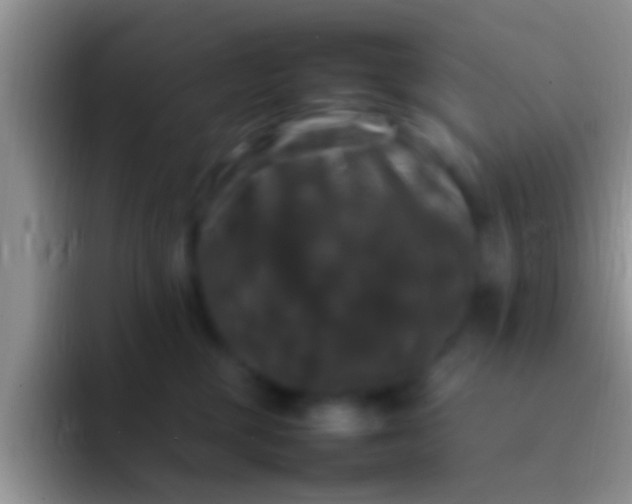 X0000092090377200709262127