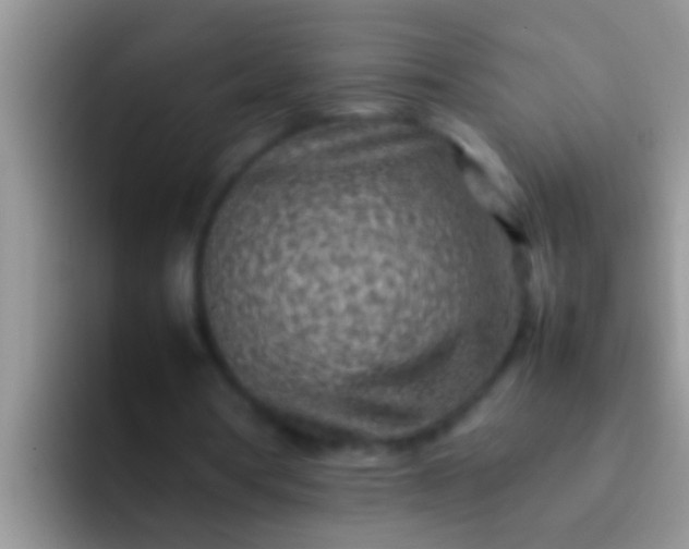 X0000092090386200709262127