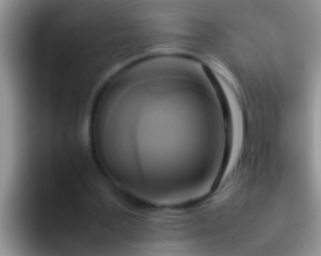 X0000092090387200709262127