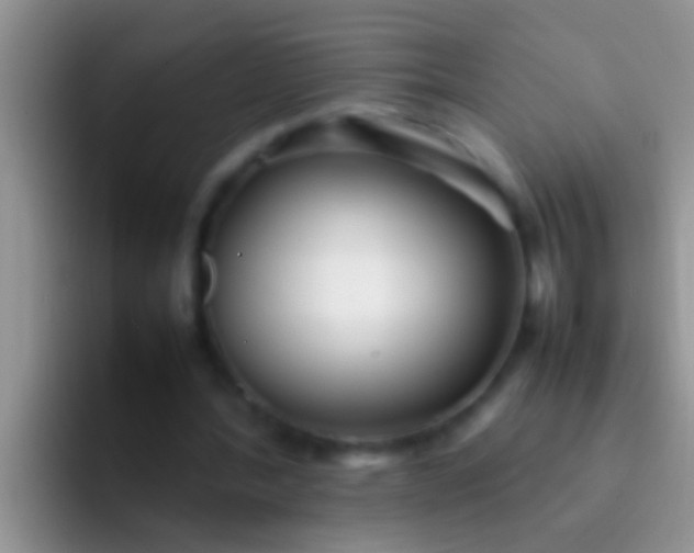X0000092090388200709262127