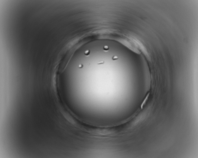 X0000092090389200709262127