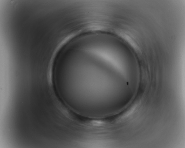 X0000092090391200709262127