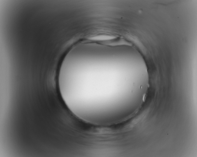 X0000092090395200709262127