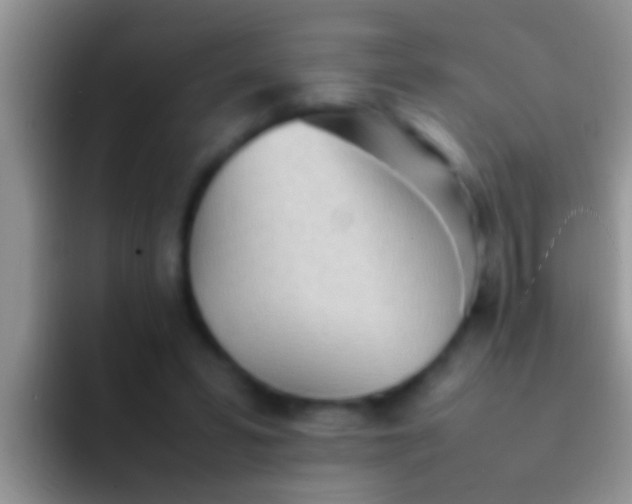 X0000092090399200709262127