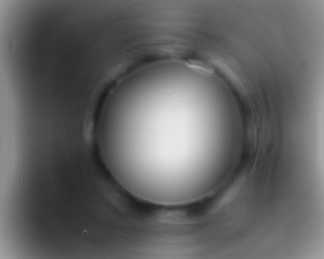 X0000092090403200709262127