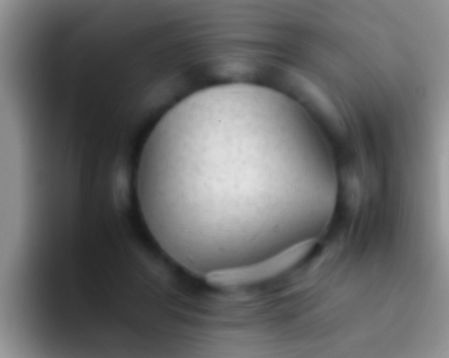 X0000092090404200709262127