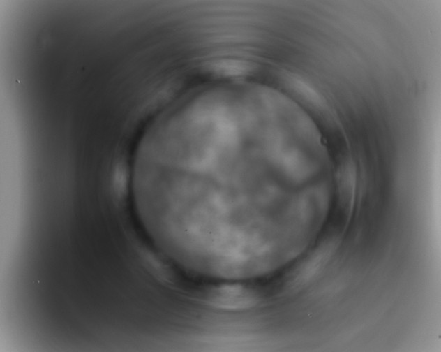 X0000092090406200709262127
