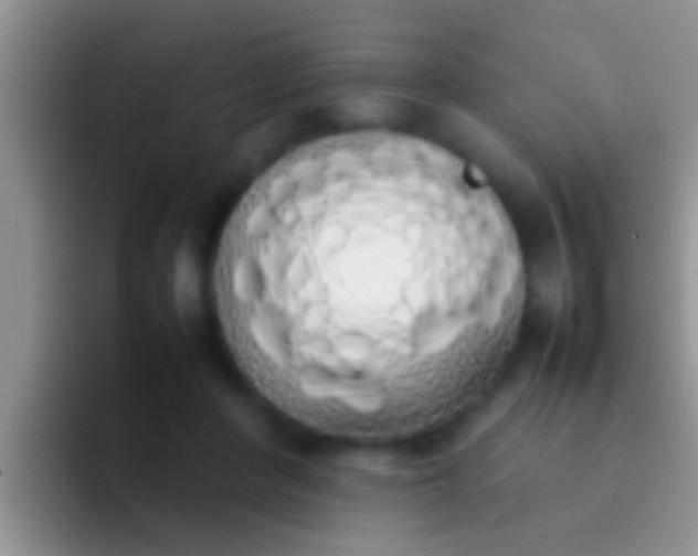 X0000092090408200709262127