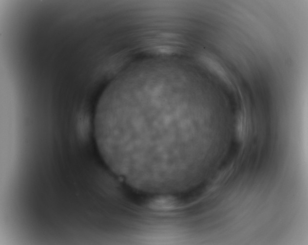 X0000092090410200709262127