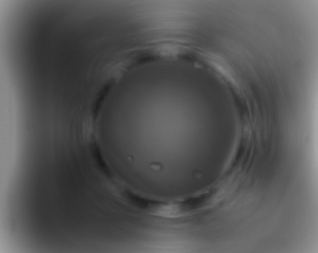 X0000092090411200709262127