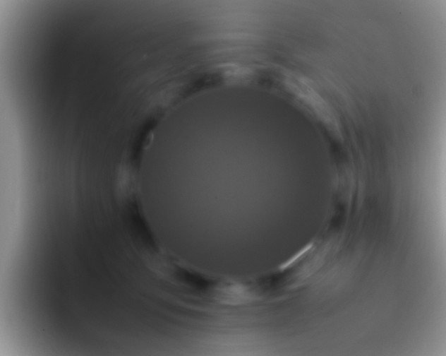 X0000092090419200709262126