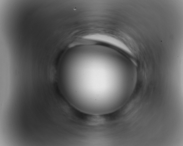 X0000092090421200709262126