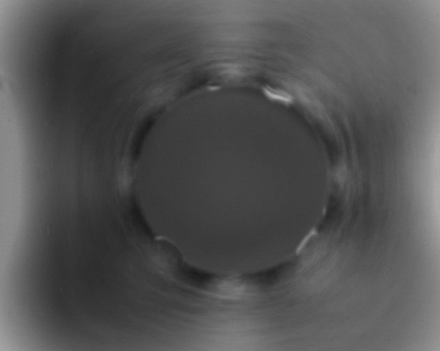X0000092090423200709262126