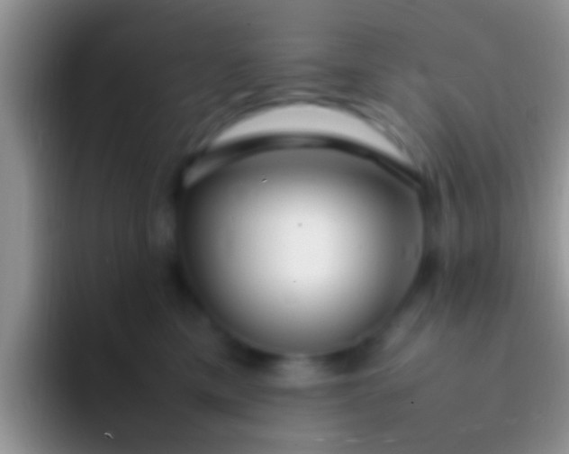 X0000092090425200709262126