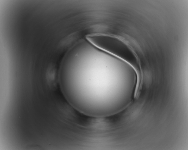 X0000092090428200709262126