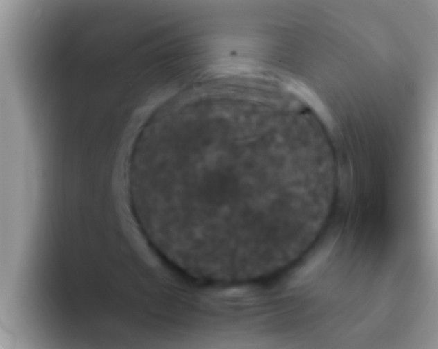 X0000092090433200709262126