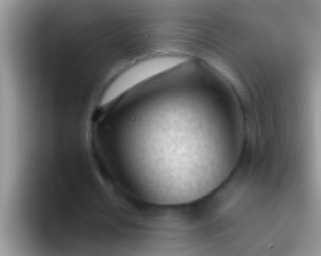 X0000092090434200709262126