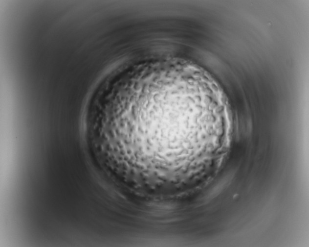 X0000092090435200709262126