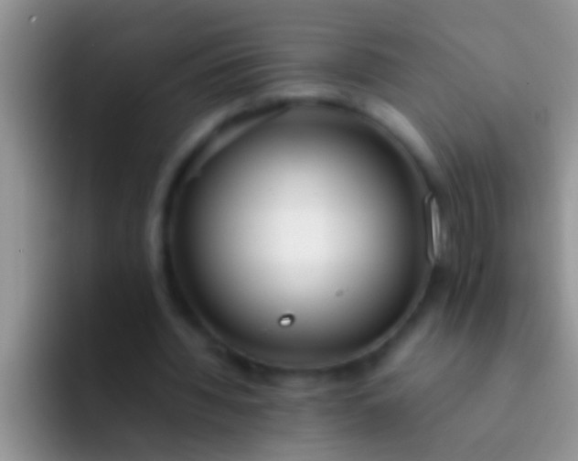 X0000092090436200709262126