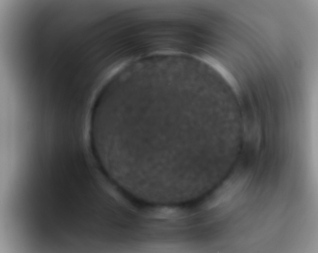 X0000092090437200709262126