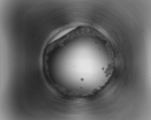 X0000092090438200709262126