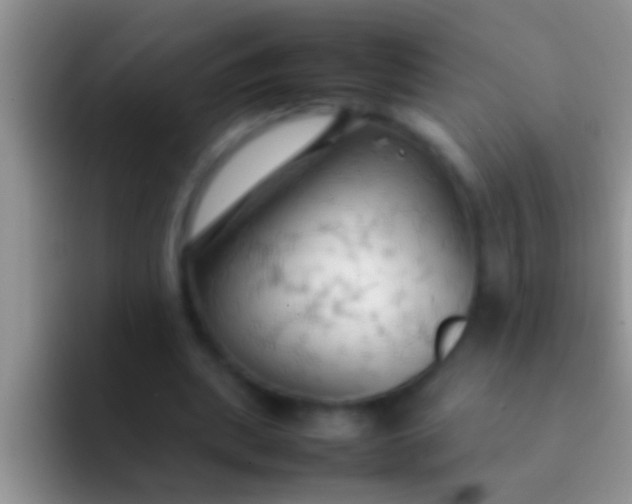 X0000092090439200709262126