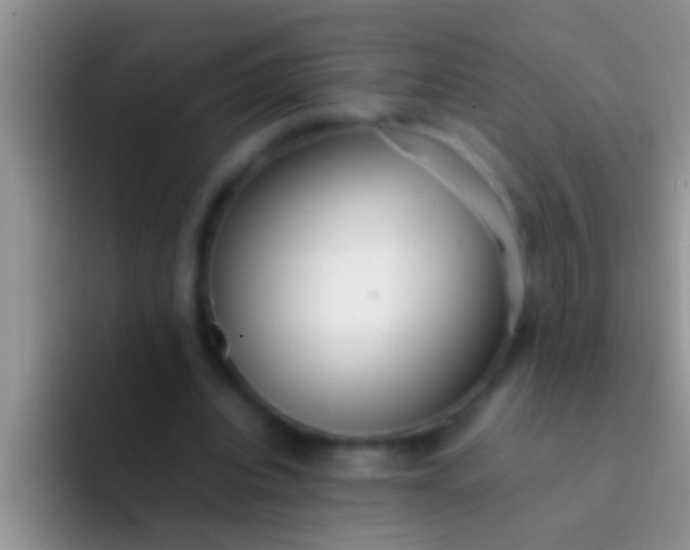 X0000092090440200709262126