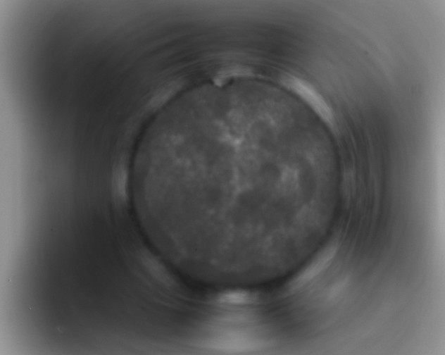 X0000092090441200709262126