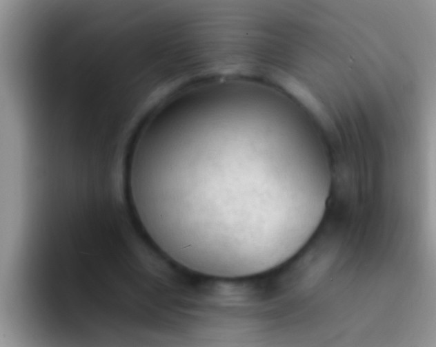 X0000092090442200709262126